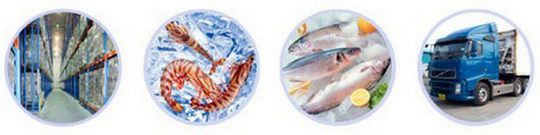 冷链物流